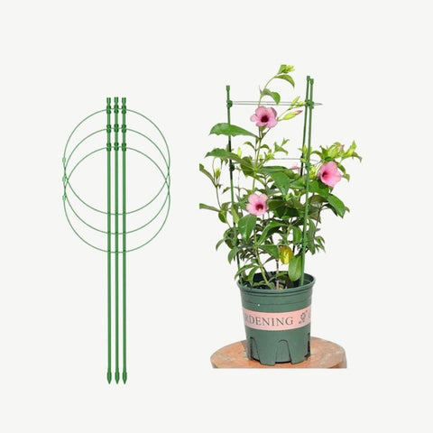 Strong plant growth The plant support ring frame is an essential tool that provide sturdy and reliable support for your plants  allowing them to grow tall and strong 