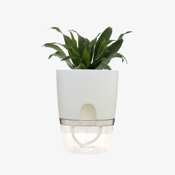 self watering Water reservoir Ideal for busy individuals who want to relish the advantages of owning plants without the inconvenience of constant watering these pots are ingeniously created to automatically water your plants and save your time