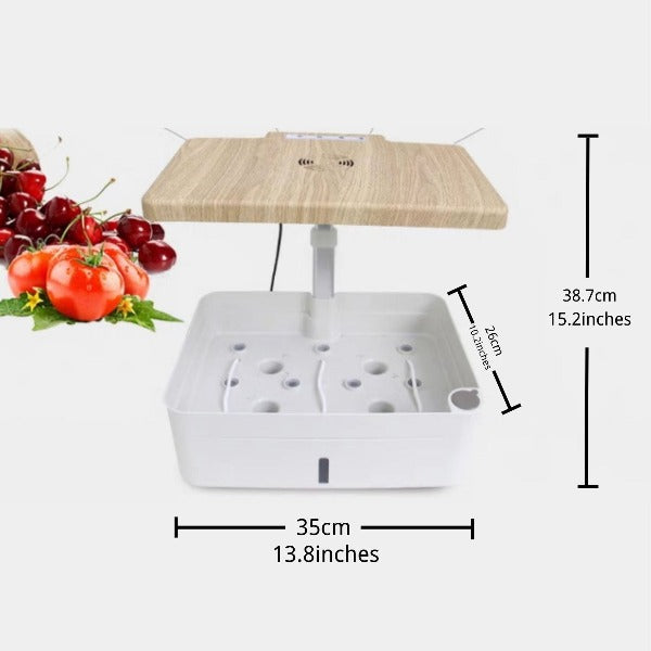 convenient indoor garden Designed for individuals who want to start growing their own plants indoors Perfect for herbs fruits vegetables and flowers