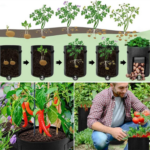 Healthy plant growth Proper air circulation these reusable growing bags promote healthy plant growth by allowing for proper air and water circulation Perfect for urban gardening small spaces or anyone looking for a versatile and convenient way to grow plants.