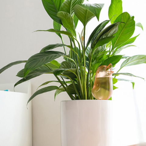 essential tools bird shape self watering gardening perfect for busy gardeners or those who frequently travel The self water device is an innovative solution for keeping your plants hydrated and healthy