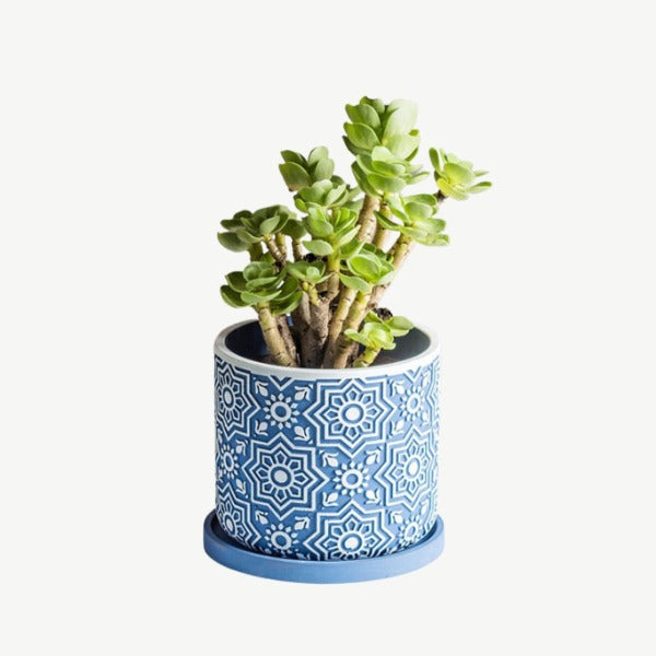 succulent planting snow flake concrete flower pot  perfect for showcasing your favorite plants while complementing any decor