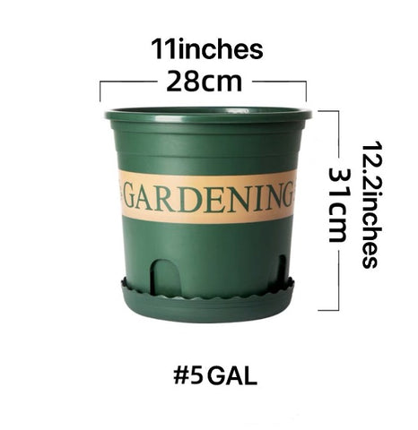 perfect choice for your home and garden The saucer helps to catch excess water preventing spills and keeping your floors clean