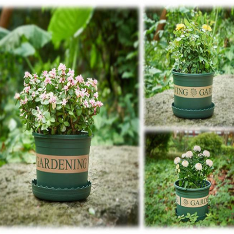 perfect choice for your home and garden The saucer helps to catch excess water preventing spills and keeping your floors clean