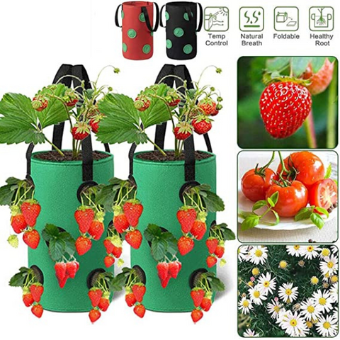 Root Development Harvesting With efficient drainage and visualization holes the multi function growing bag promotes optimal plant growth and makes harvesting a breeze can be used for a range of plants