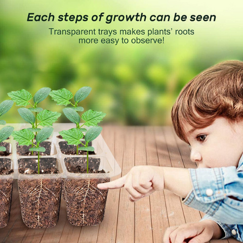 Easy to grow home-grown produce Plant Seed Growth Box makes it easy and enjoyable for you to cultivate fresh herbs flowers or vegetables right at home allowing you to experience the satisfaction of gardening