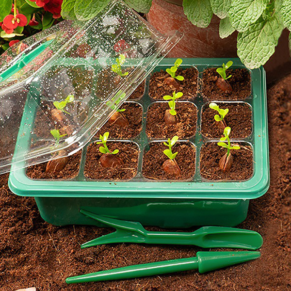 Easy to grow home-grown produce Plant Seed Growth Box makes it easy and enjoyable for you to cultivate fresh herbs flowers or vegetables right at home allowing you to experience the satisfaction of gardening