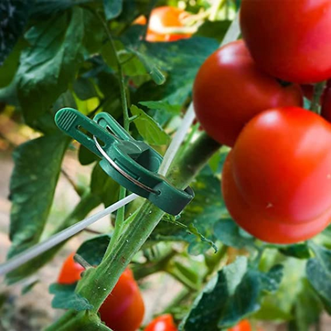 Strong plant growth easy to adjust The plant support clips are essential gardening tool that provide gentle yet sturdy support to help your plants grow tall and strong