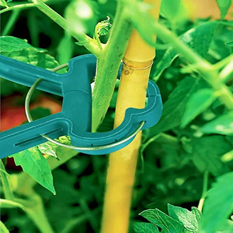 Strong plant growth easy to adjust The plant support clips are essential gardening tool that provide gentle yet sturdy support to help your plants grow tall and strong