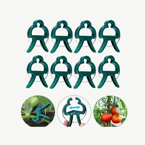 Strong plant growth easy to adjust The plant support clips are essential gardening tool that provide gentle yet sturdy support to help your plants grow tall and strong