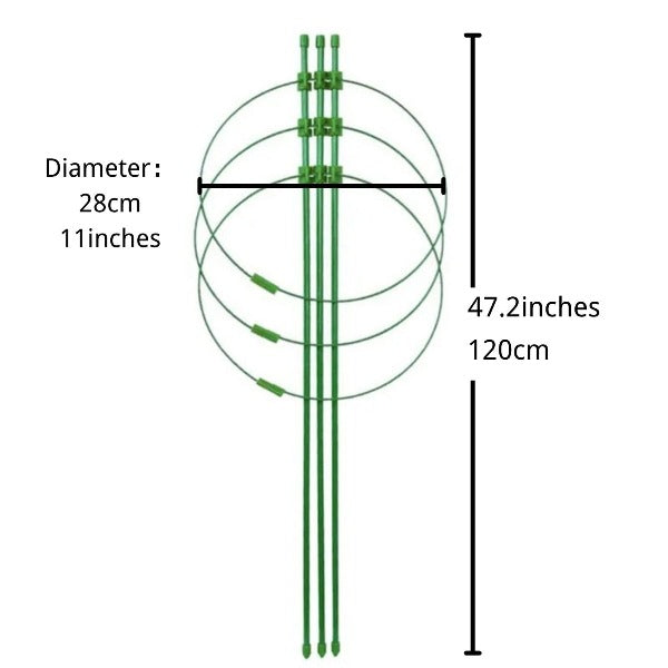 Strong plant growth The plant support ring frame is an essential tool that provide sturdy and reliable support for your plants allowing them to grow tall and strong