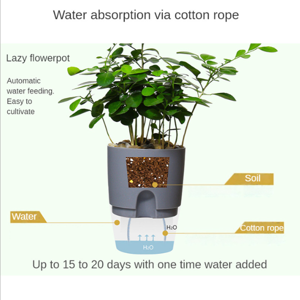 self watering Water reservoir Ideal for busy individuals who want to relish the advantages of owning plants without the inconvenience of constant watering these pots are ingeniously created to automatically water your plants and save your time