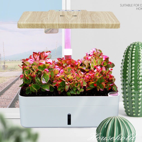 convenient indoor garden Designed for individuals who want to start growing their own plants indoors Perfect for herbs fruits vegetables and flowers